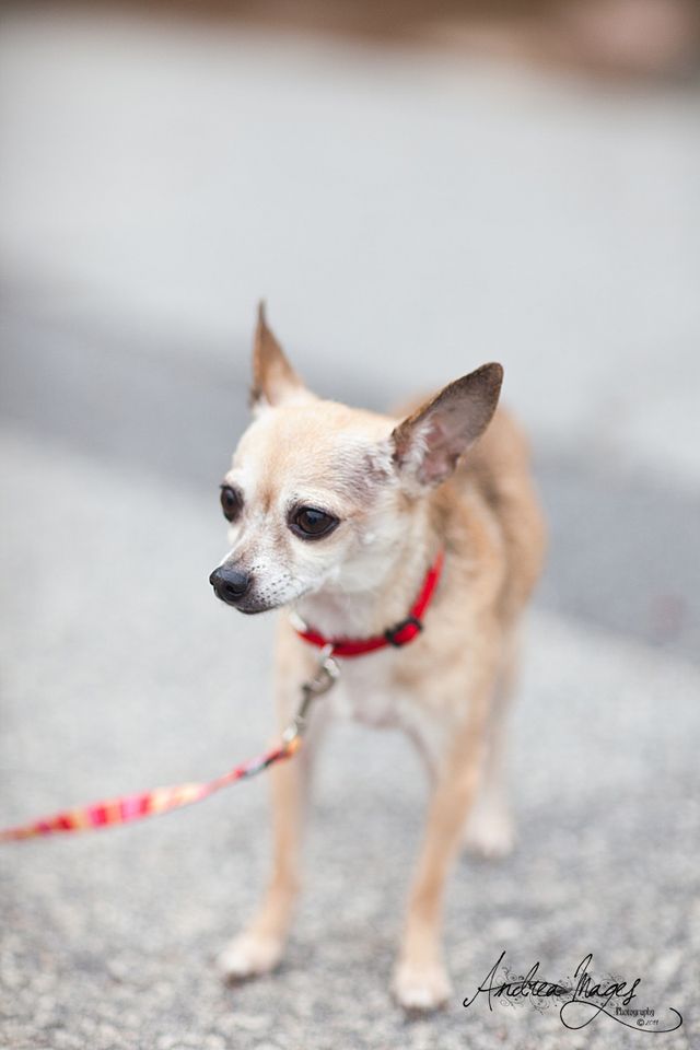 6a00d83453a97969e20162fbbeeea6970d-640wi